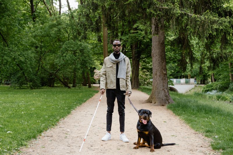 Service Animals Have Different Access Rules