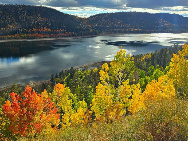 Navajo Lake For Forest, Water, And Cooler Air