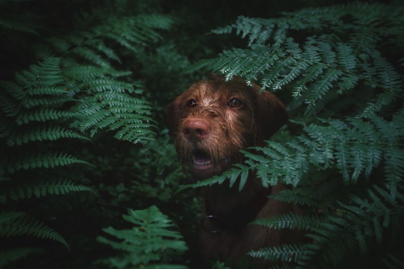 Hidden Spots Need Extra Attention