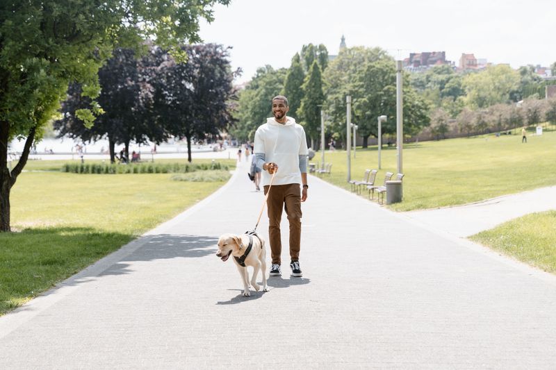 Keep Your Dog Under Reasonable Control Outside Your Property
