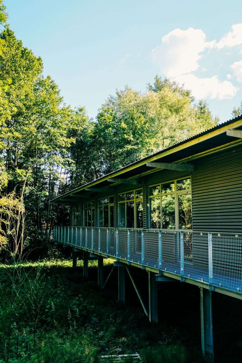 Camp Brookside Is Off the Itinerary