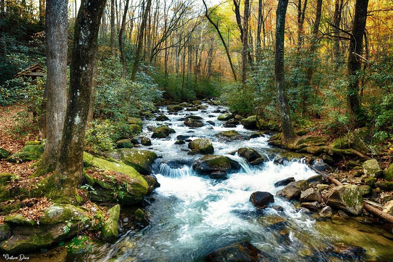 River Miles at Jones Gap State Park