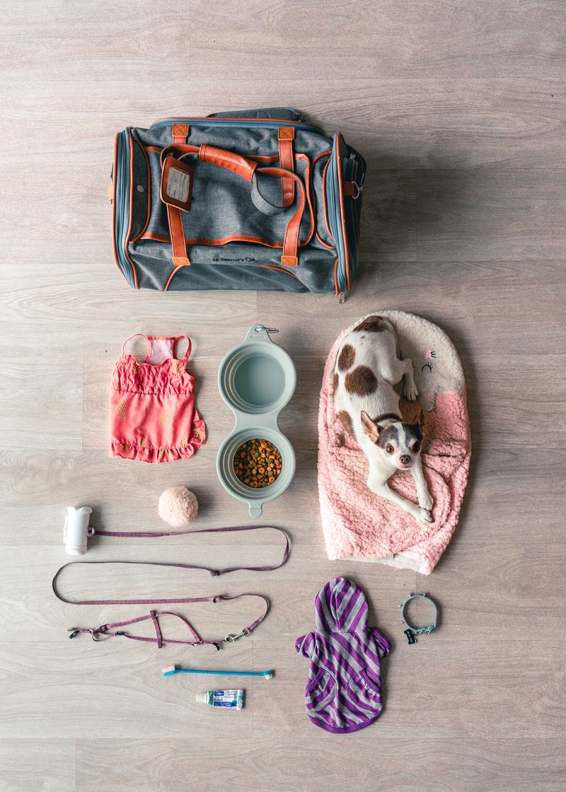 Pack the Go-Bag Before Fire Season Starts