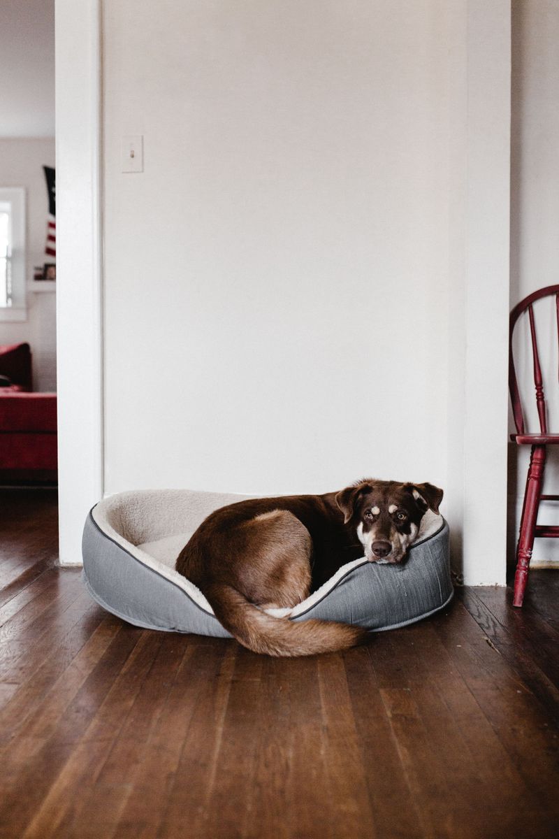 Choose A Safe Indoor Space