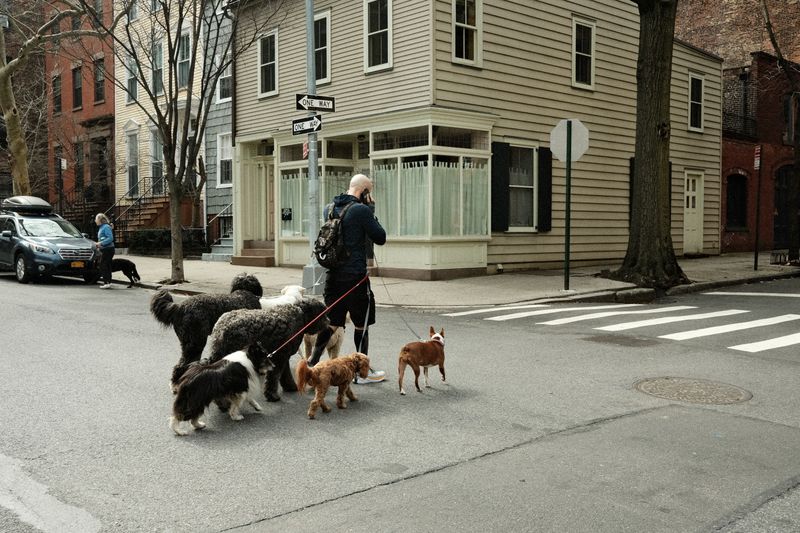 Check Your Surroundings Before The Next Walk