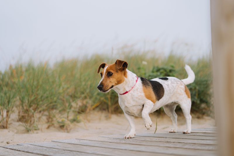 Check Rules For Nearby Boardwalks