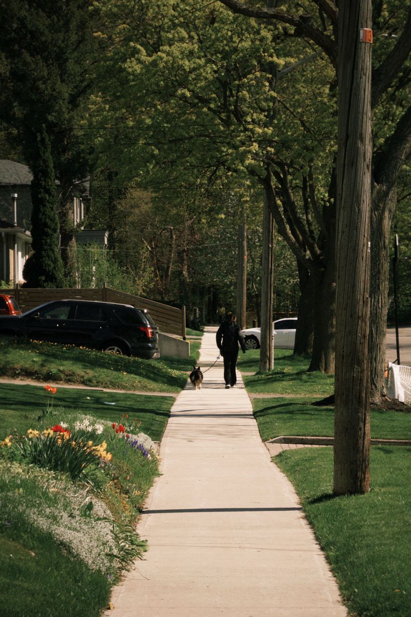 Switch Up Your Walking Route For A While