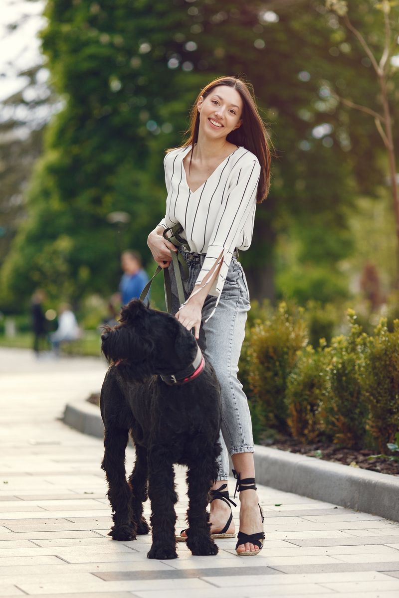 Black Russian Terrier