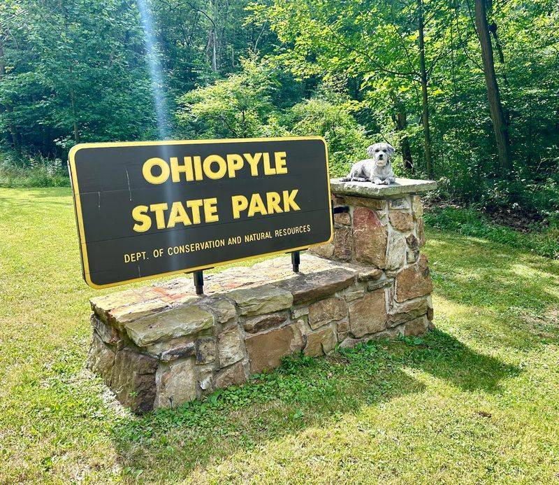 Ohiopyle State Park