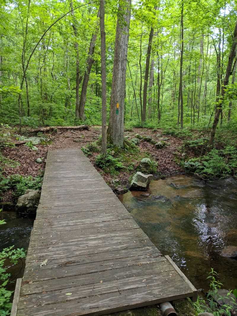 French Creek State Park Campground