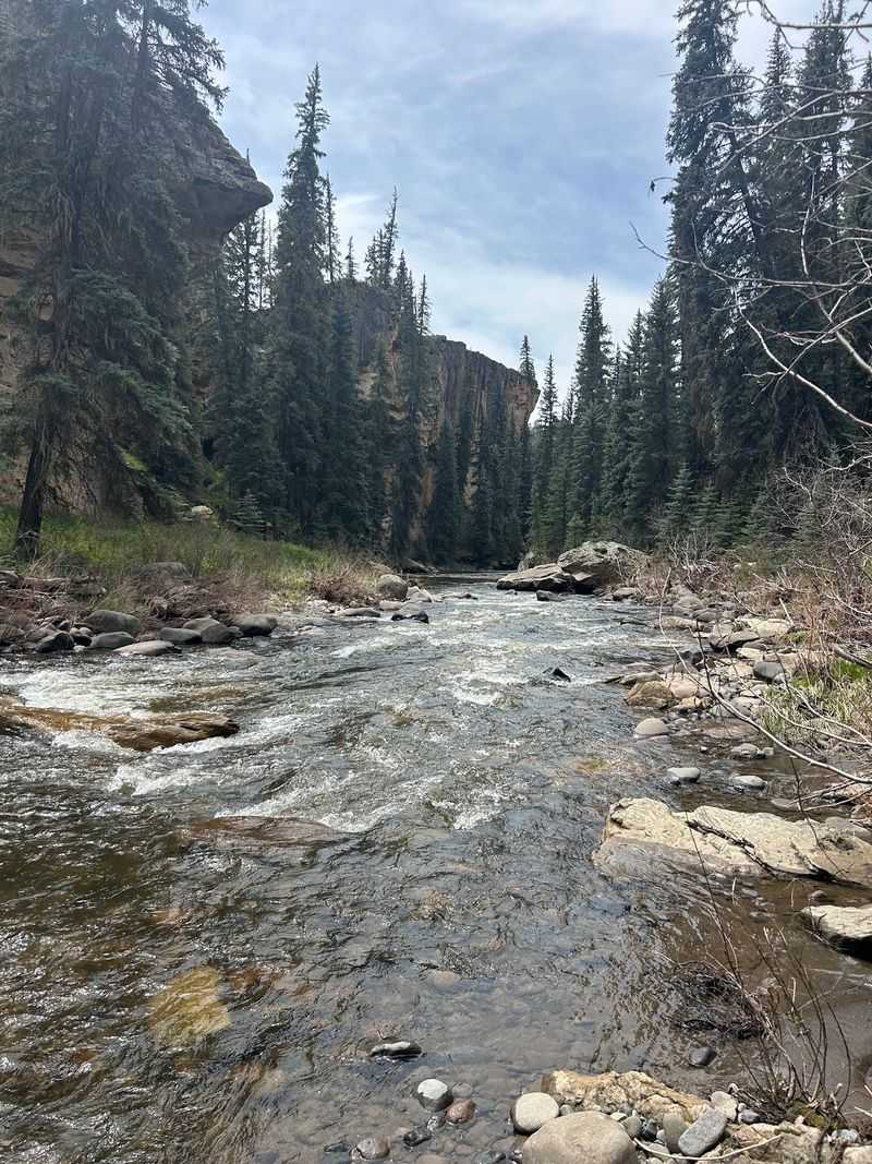 Pagosa Springs: Piedra River Trail Plus the San Juan Riverwalk