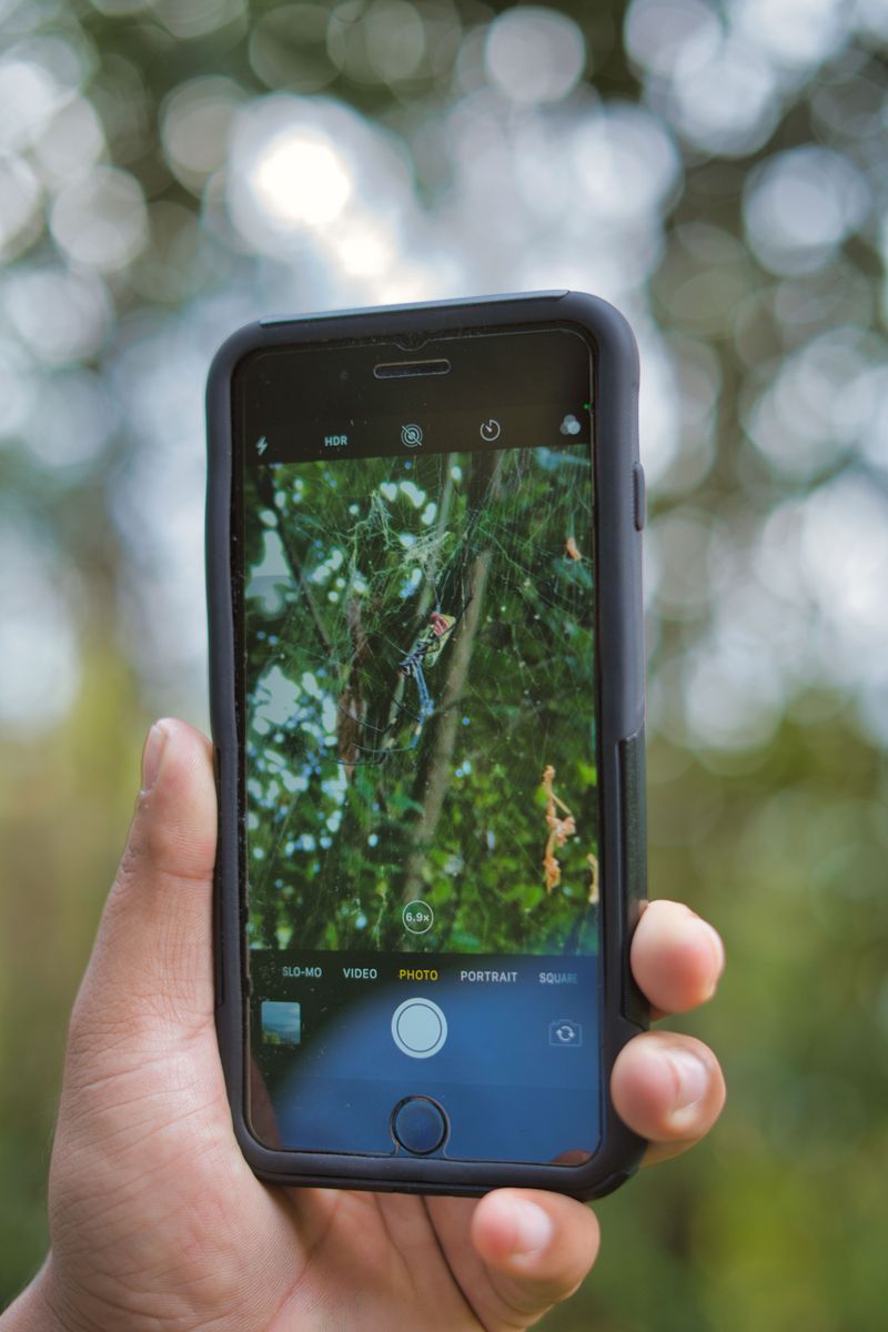 Zoom in with your phone, not your feet