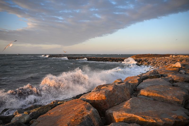 Jetties Concentrate Current Right Where Dogs Explore