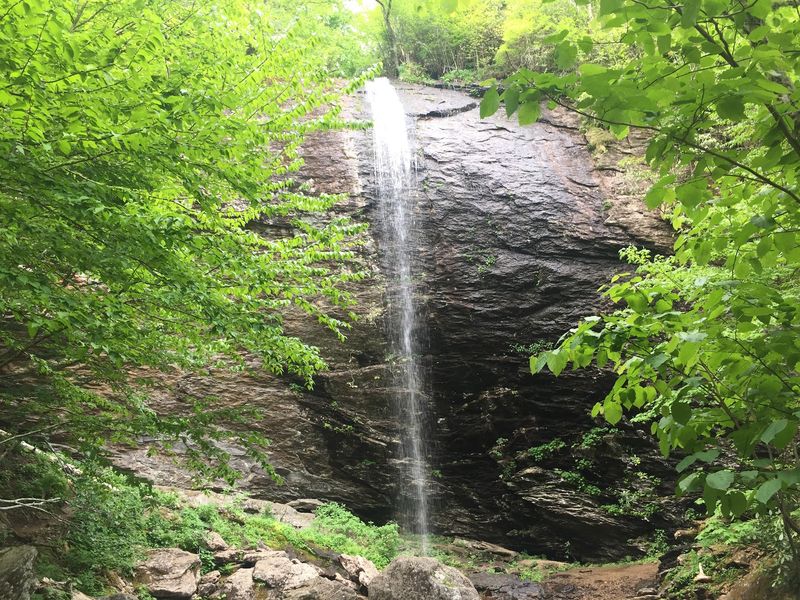 Douglas Falls, Pisgah National Forest
