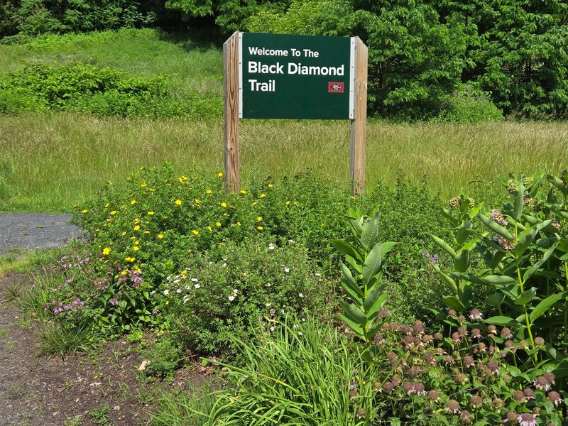 Black Diamond Trail, Ithaca to Trumansburg
