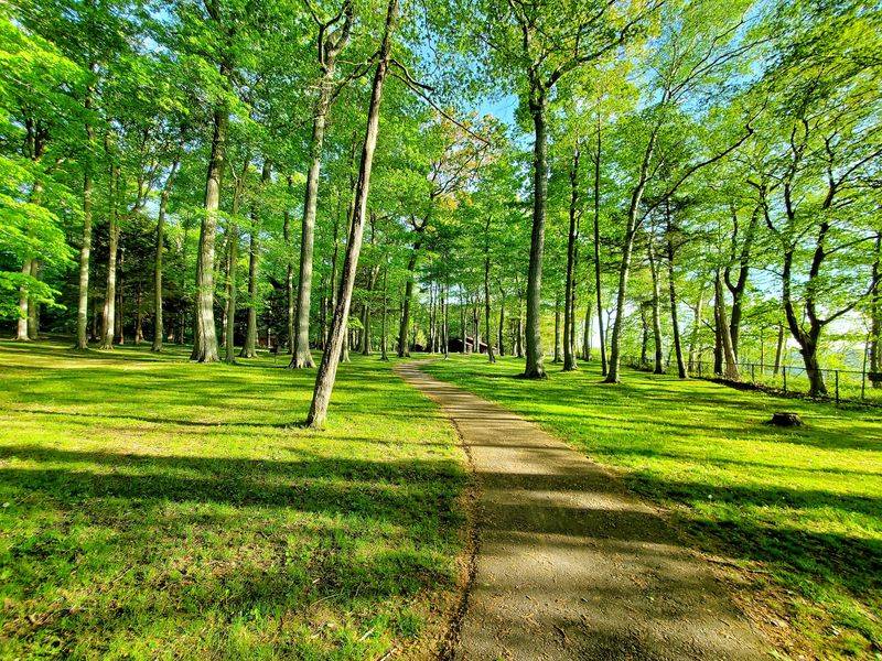 Selkirk Shores State Park
