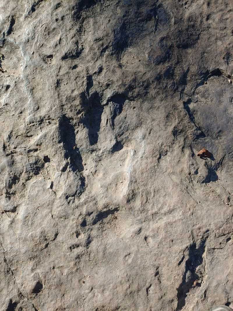 Dinosaur Footprints, Holyoke