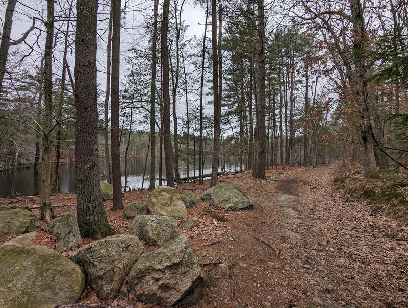 North Andover Is a Good Pick for Forest Trails