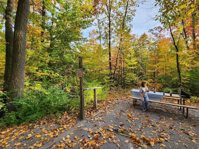 Cunningham Falls Keeps the Lake Area Restricted