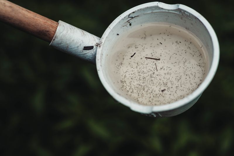 Greater Mosquito Exposure Around Standing Water