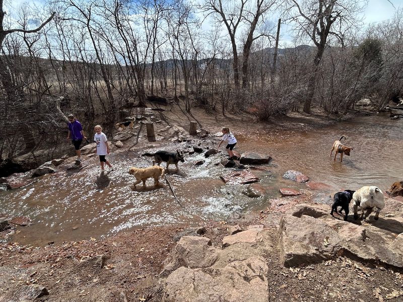 Play Hard at Bear Creek Dog Park