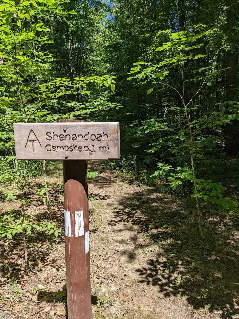 Appalachian Trail Through Shenandoah