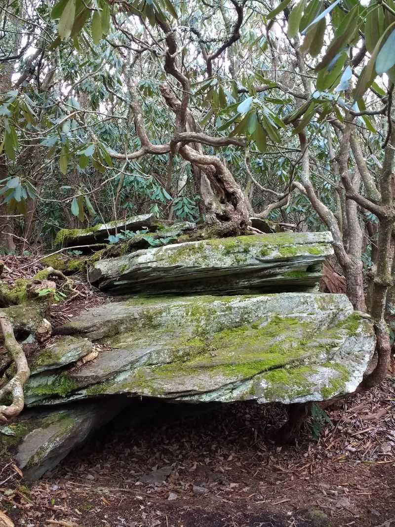 Hawksbill Mountain Trail