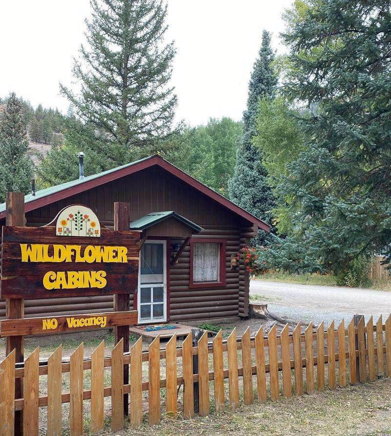Wildflower Cabins, Lake City, Colorado
