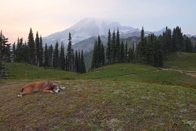 Naches Peak Loop Comes With a Catch