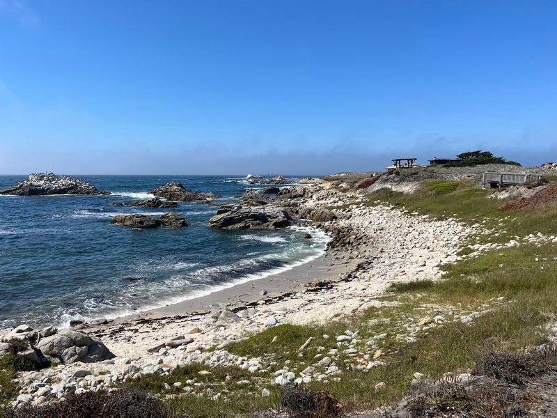 Asilomar State Beach, Pacific Grove