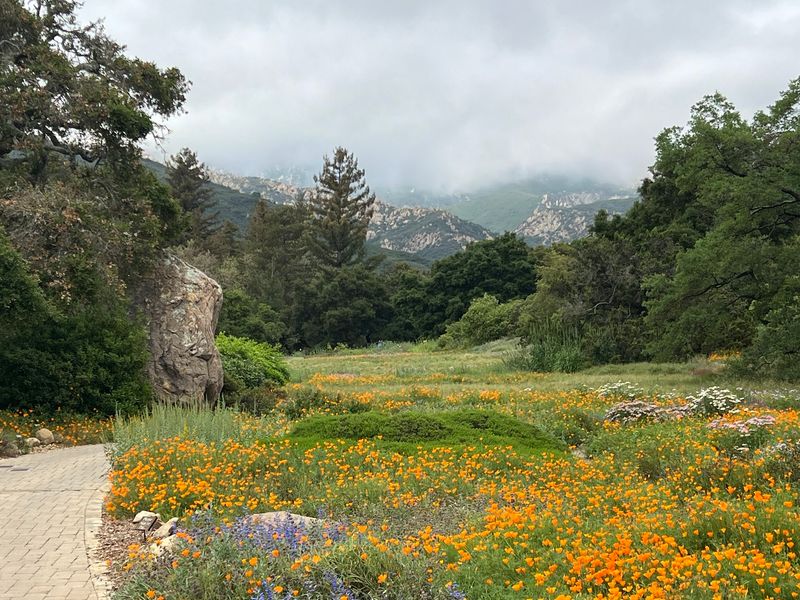 Santa Barbara Botanic Garden - Santa Barbara