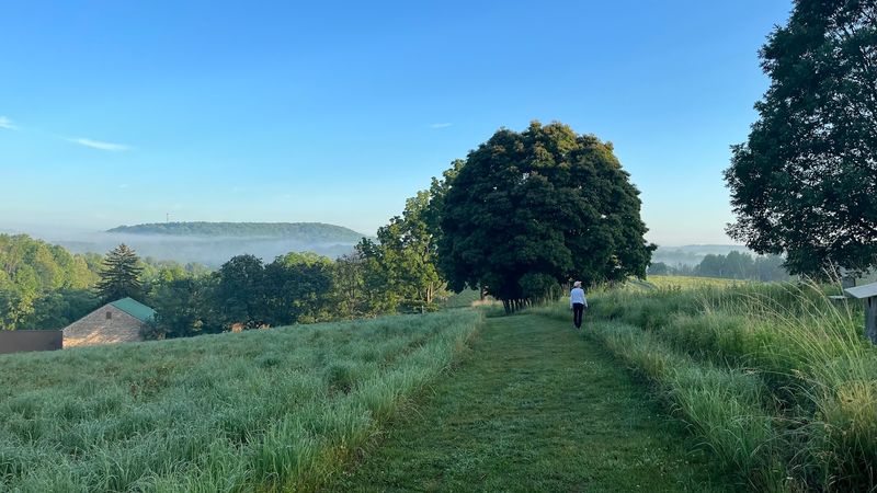 Binky Lee Preserve, Malvern