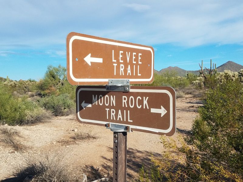 Usery Mountain Regional Park, Mesa