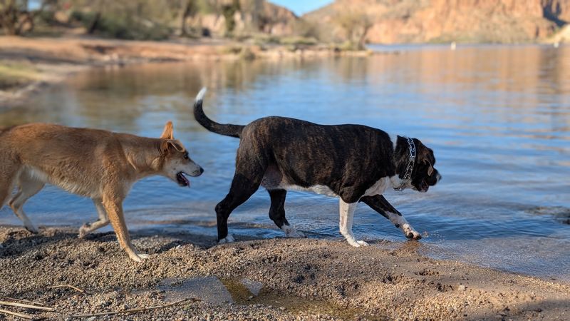 Canyon Lake