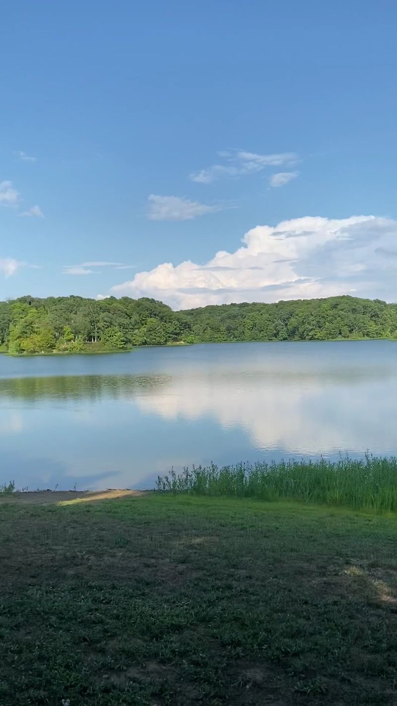 A.W. Marion State Park Dog Swim Area - Circleville