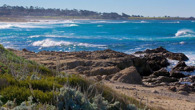 Pacific Grove and Asilomar State Beach