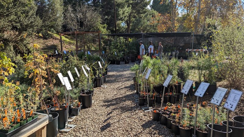 Theodore Payne Foundation Demonstration Gardens - Sun Valley