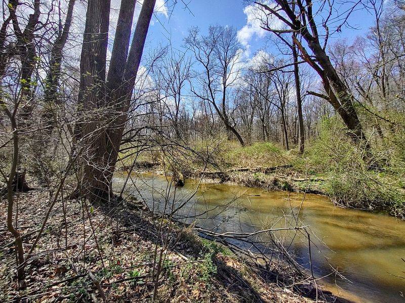 Sadsbury Woods Preserve, near Parkesburg
