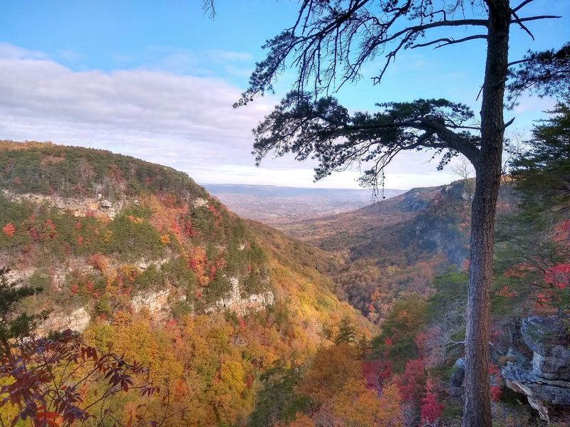 Cloudland Canyon Camping Weekend