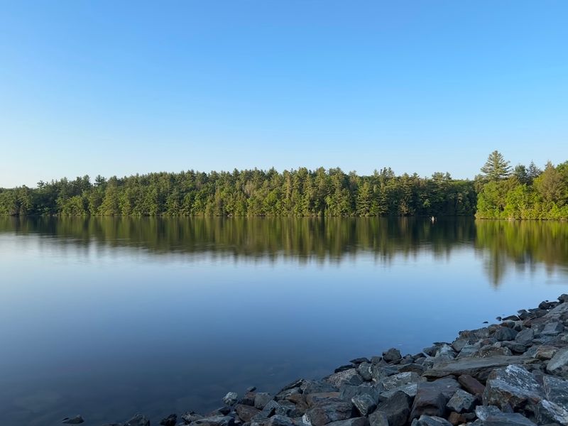 Daughters of the American Revolution State Forest, Goshen