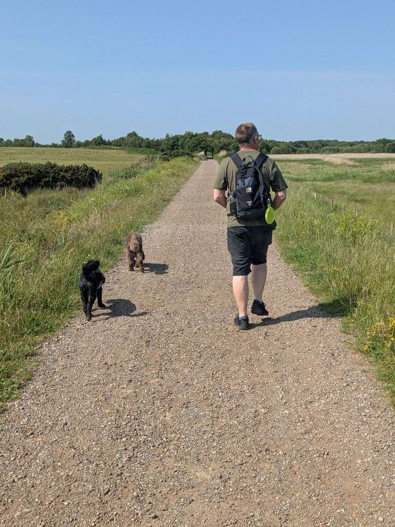 Keep Walks Shorter When Heat and Humidity Are High