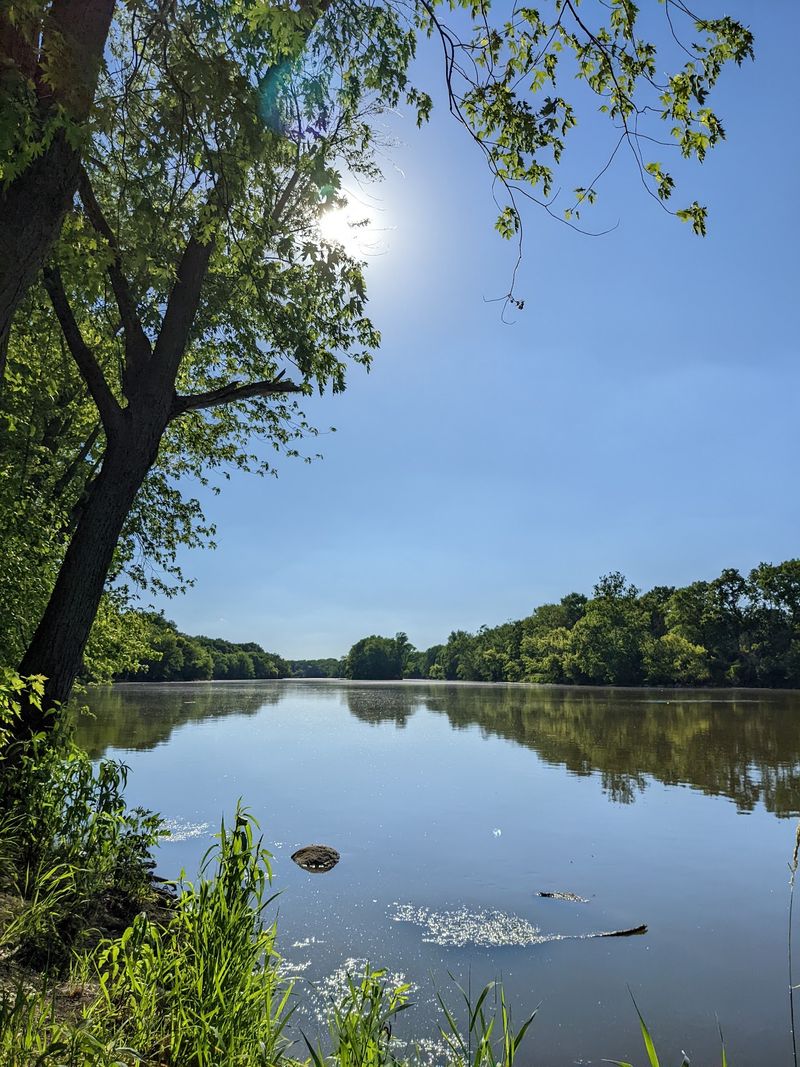 Silver Springs State Fish and Wildlife Area, Yorkville
