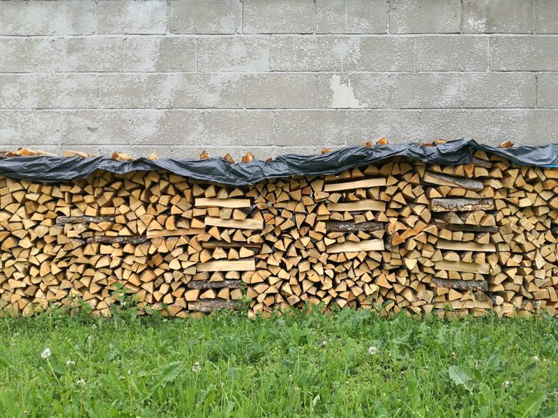 Use Caution Around Woodpiles and Storage Areas