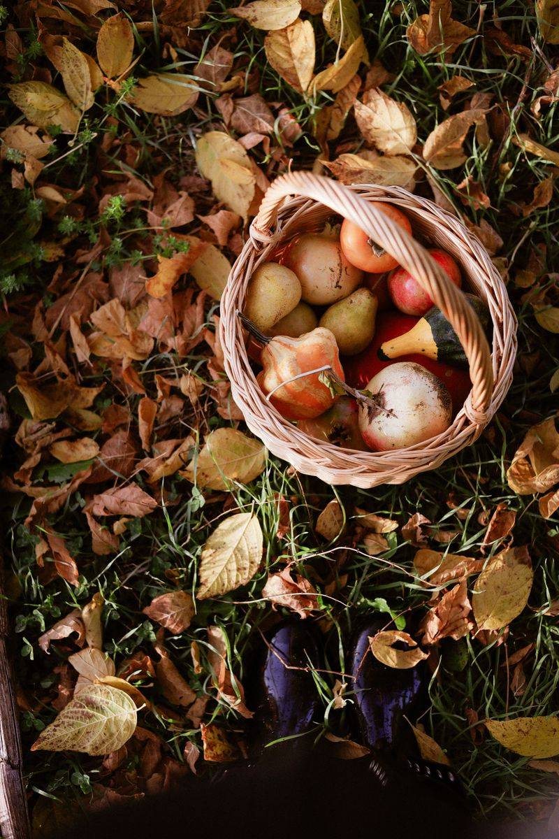 Pick Up Fallen Fruit
