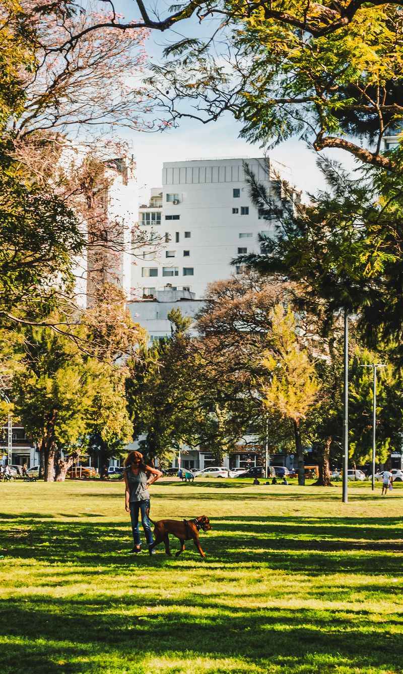 Atlanta Parks Have Their Own Playbook