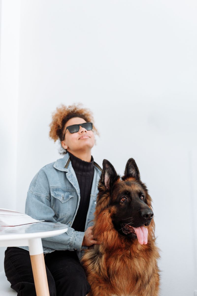 Emotional Support Animals Are Not Automatically Service Animals