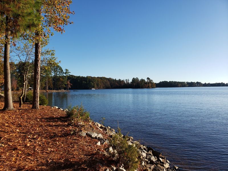 Dreher Island State Park, Prosperity