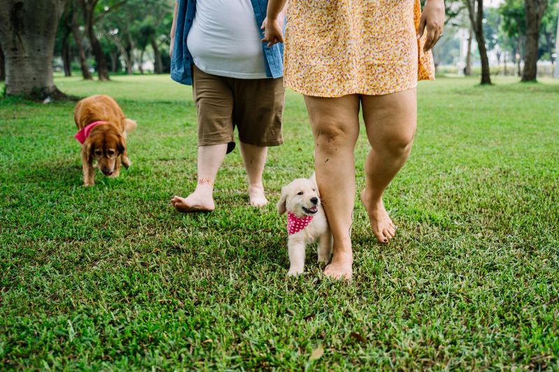 Look for Softer Walking Surfaces