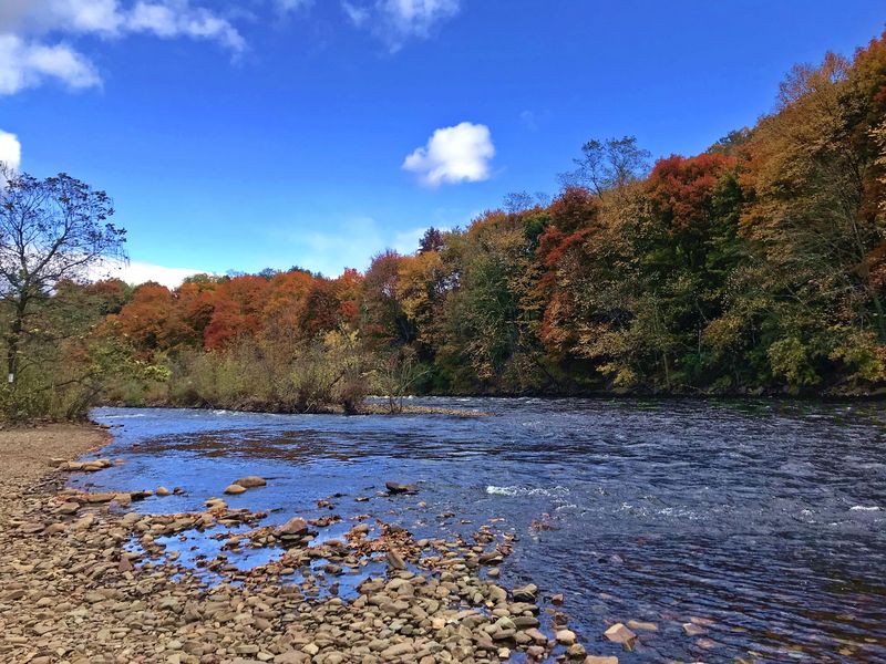 Lehigh Gorge State Park, White Haven and Jim Thorpe area