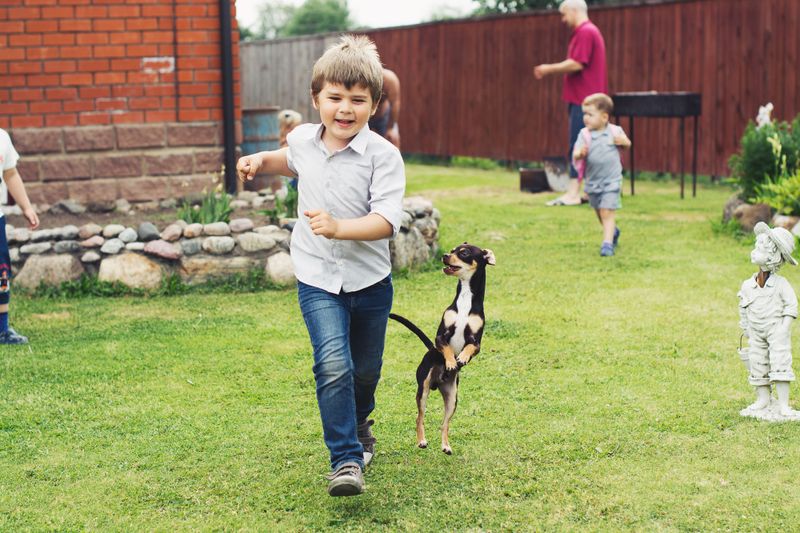 Clear the kids and other animals from the scene